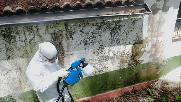 Top rated local Mold Remediation specialists in Erwinna, PA
